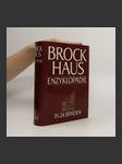 Brockhaus Enzyklopädie 6 (DS-EW) - náhled