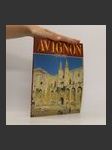 Avignon - náhled
