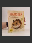 Hamster - náhled