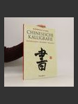 Kompaktkurs chinesische Kalligrafie - náhled