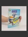 Piccolo Picture Book of Birds - náhled