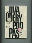 Dva údery pod pás - náhled