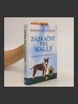 Zázračný pes Wally - náhled