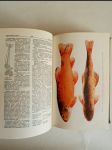 Naše rybářství - Naučný slovník všech oborů českosl. rybářství - náhled
