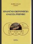 Finančno - ekonomická analýza podniku - náhled