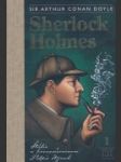 Sherlock Holmes 1 - náhled