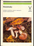 Holubinky - náhled