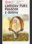 Pasáček z doliny - náhled