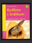 Bydlíme s králíkem - náhled