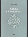 Cesta z labyrintu - náhled