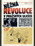 Něžná revoluce v pražských ulicích - náhled