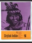 Strýček Indián - dobrodružství lovce v Gran Chaku - náhled