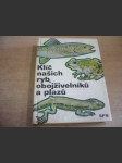 Klíč našich ryb, obojživelníků a plazů - pomocná kina k učebnicím zoologie všeobecně vzdělávacích, středních, odborných a vysokých škol - náhled