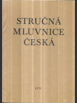 Stručná mluvnice česká - náhled