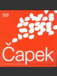 Karel a Josef Čapek - 70 let Společnosti bratří Čapků - náhled