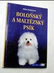Boloňský a maltézský psík - náhled