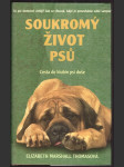 Soukromý život psů - náhled