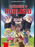 Uvězněni v robloxu - náhled