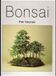 Bonsai - náhled