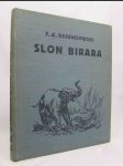 Slon Birara - náhled