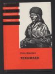 Tekumseh - Vyprávění o boji rudého muže, sepsané podle starých pramenů. 2. díl - náhled