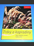 Trávy a kapradiny - náhled