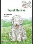 Pejsek kulička - začínám číst - náhled