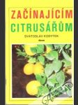 Začínajícím citrusářum - náhled