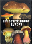 Hřibovité houby Evropy - náhled