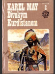 Divokým Kurdistánem - náhled