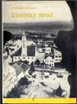 Uherský Brod - náhled