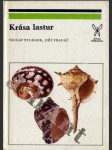 Krása lastur - náhled