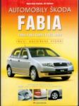 Automobily Škoda Fabia - náhled