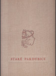 Staré Pardubice - náhled