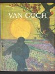 Vincent van Gogh: Vize a skutečnost - náhled