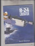 Bojové legendy: B-24 Liberator - náhled