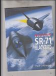 Bojové legendy: SR-71 Blackbird - náhled