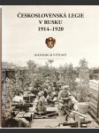 Československá legie v Rusku 1914-1920 - výstava konaná u příležitosti 90. výročí vzniku samostatného československého státu / 10. října 2008 - 18. ledna 2009, Tereziánské křídlo Starého královského paláce Pražského hradu / katalog - náhled