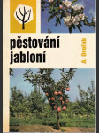 Pěstování jabloní  - náhled