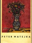 Peter Matejka - náhled