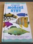 Akvarijní mořské ryby - náhled