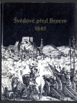 Švédové před Brnem 1645 - náhled