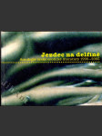 Jezdec na delfíně - antologie české erotické literatury 1990-2005 - náhled