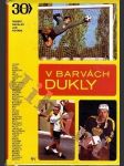 V barvách Dukly - náhled