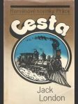 Cesta - náhled