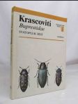 Krascovití (Buprestidae) - náhled