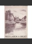 Mezi Labem a Orlicí [východní Čechy - kraj Hradec Králové - historický a hospodářský vývoj, stavební i umělecké památky, přírodní bohatství Královéhradeckého kraje ] - náhled