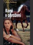 Koně v ohrožení - sára a její koně 2 - náhled