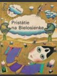 Pristátie na Bielosienke - náhled