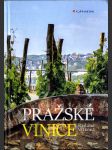 Pražské vinice - náhled